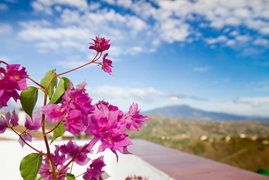 Cutar Rooftop Terrace & Panoramic Mountain View'S 빌라 외부 사진